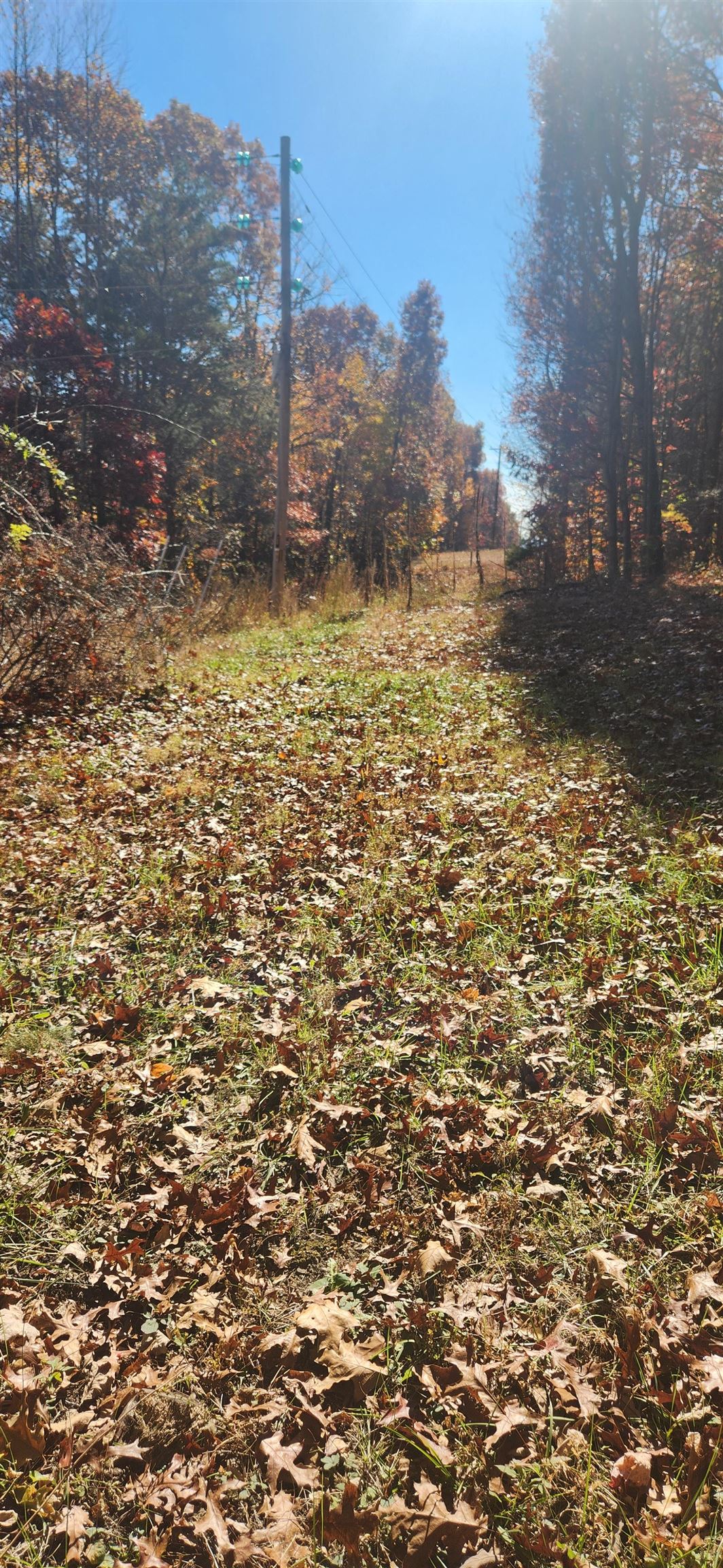 46 & 58 Howdyshell Ln