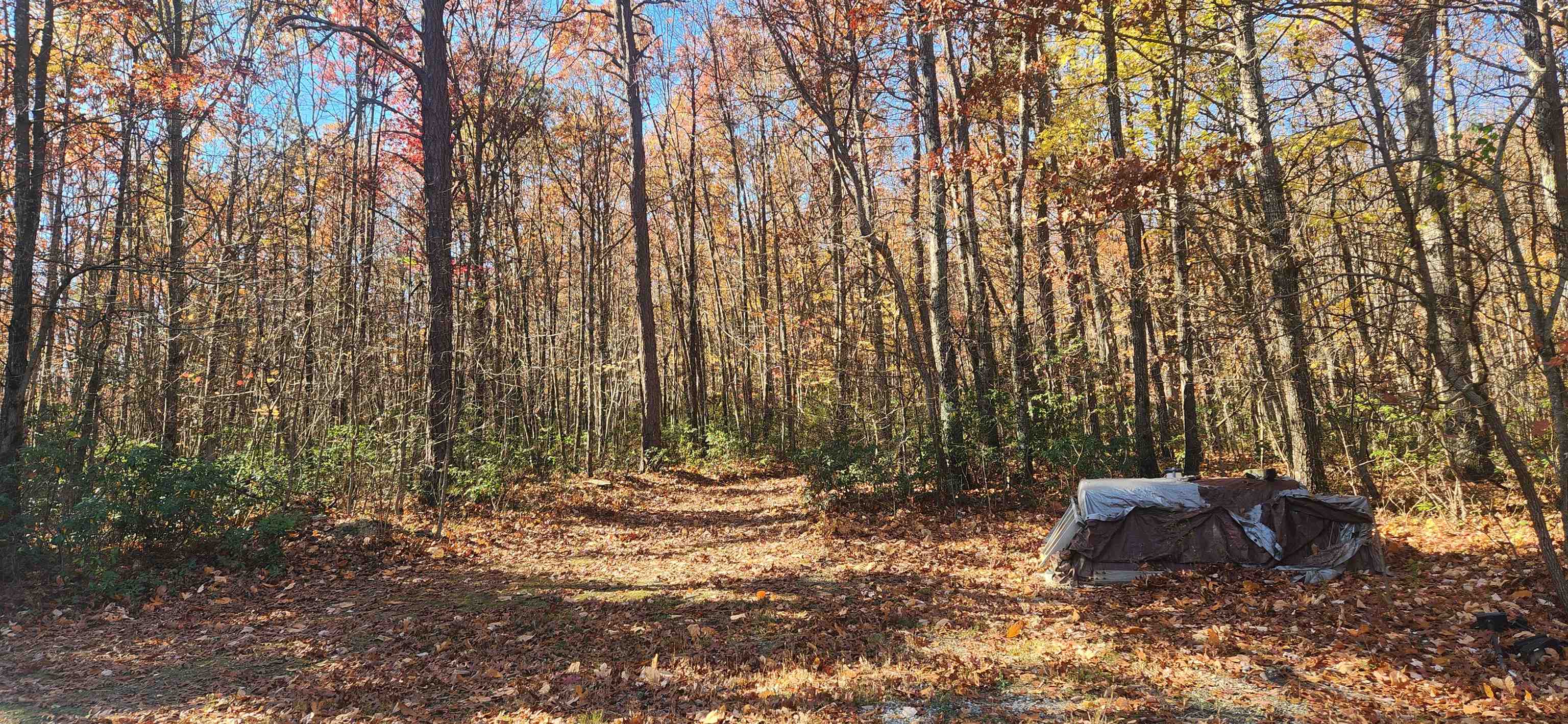 46 & 58 Howdyshell Ln