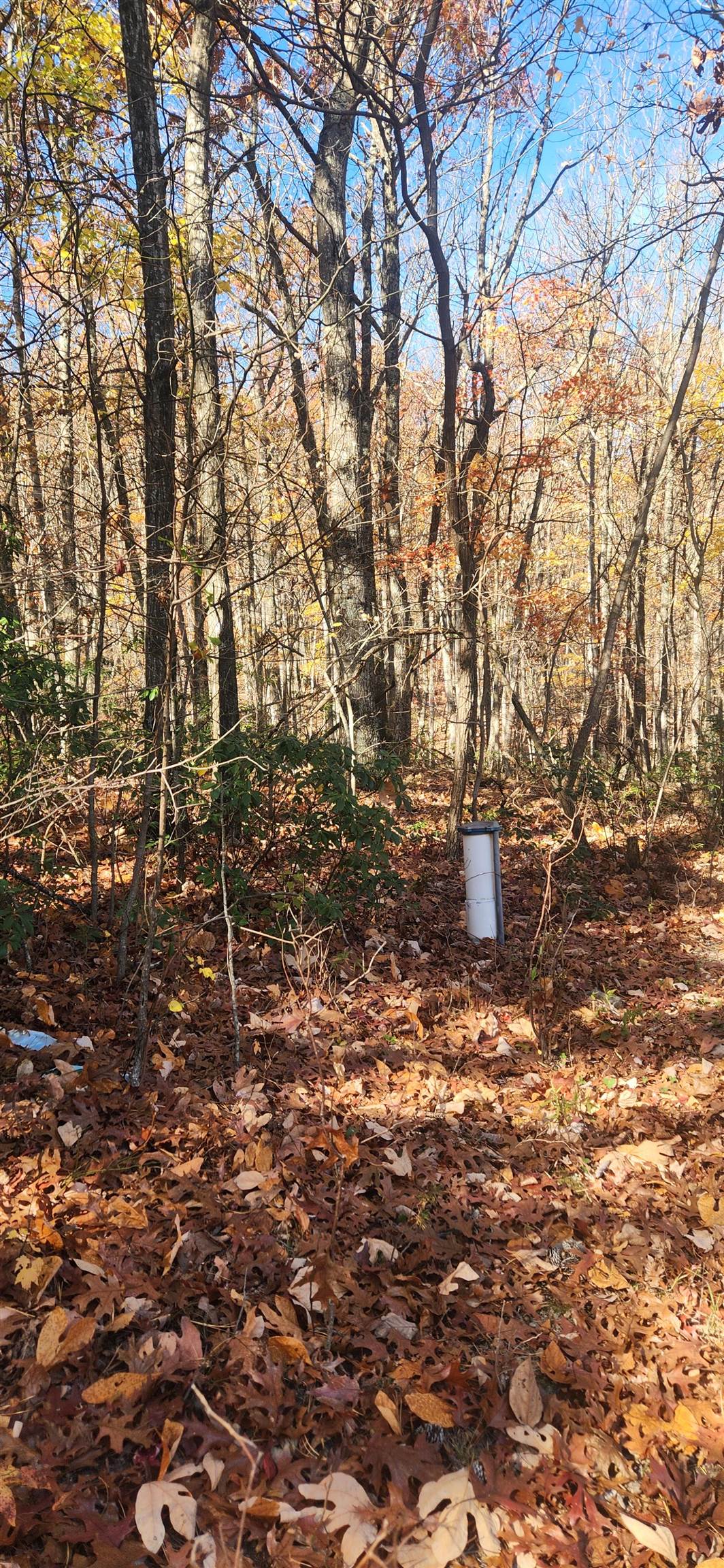 46 & 58 Howdyshell Ln