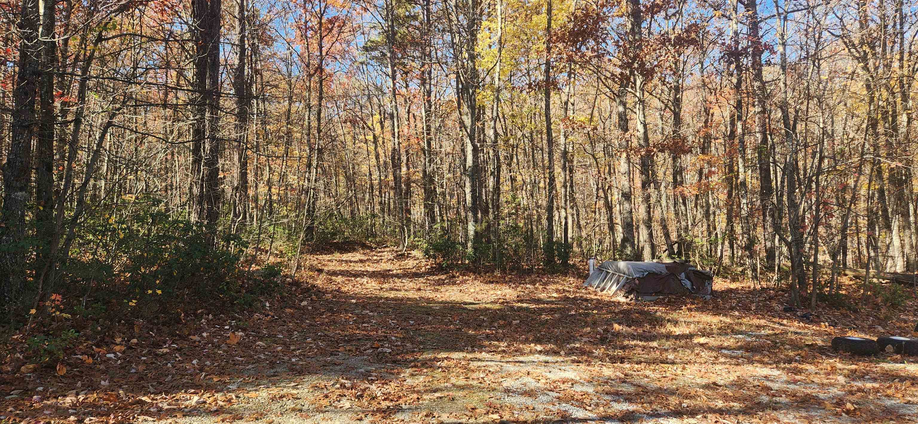 46 & 58 Howdyshell Ln