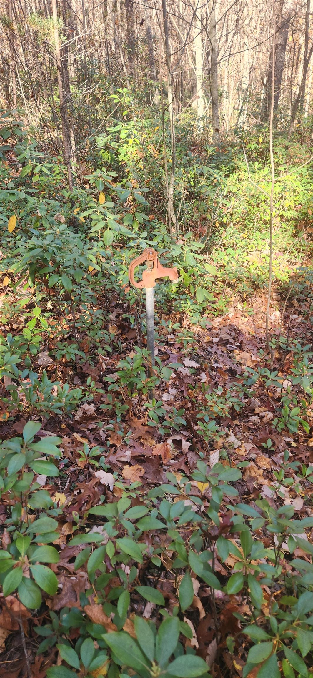 46 & 58 Howdyshell Ln