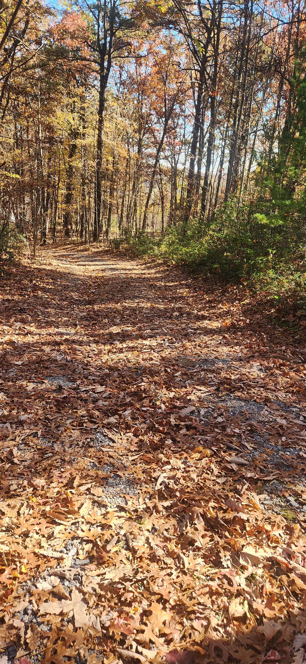 46 & 58 Howdyshell Ln