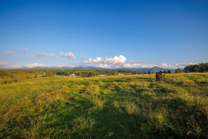 47 acres Lee Hwy N