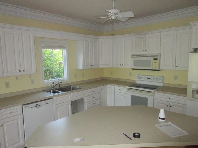 3384 Mesinetto Creek Dr