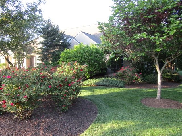 3384 Mesinetto Creek Dr