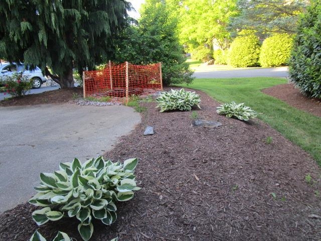 3384 Mesinetto Creek Dr