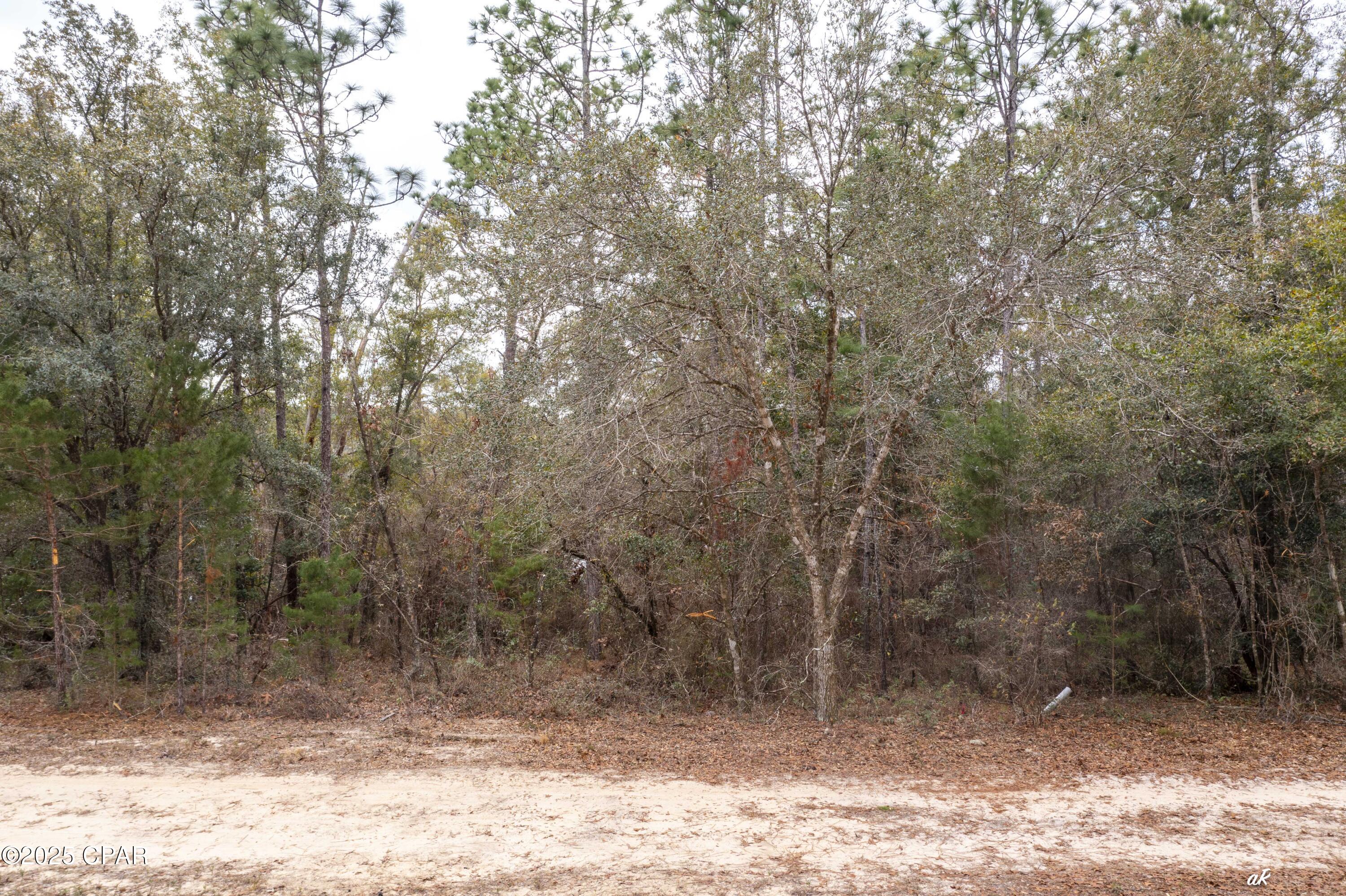 Image 10 For Lot 16 Bent Oaks Road