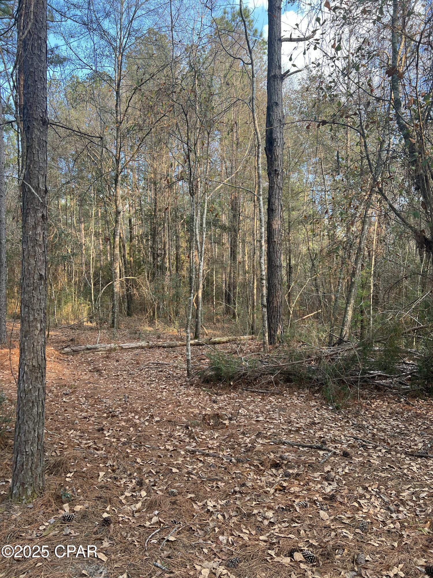 Image 11 For Tbd White Oak Lane