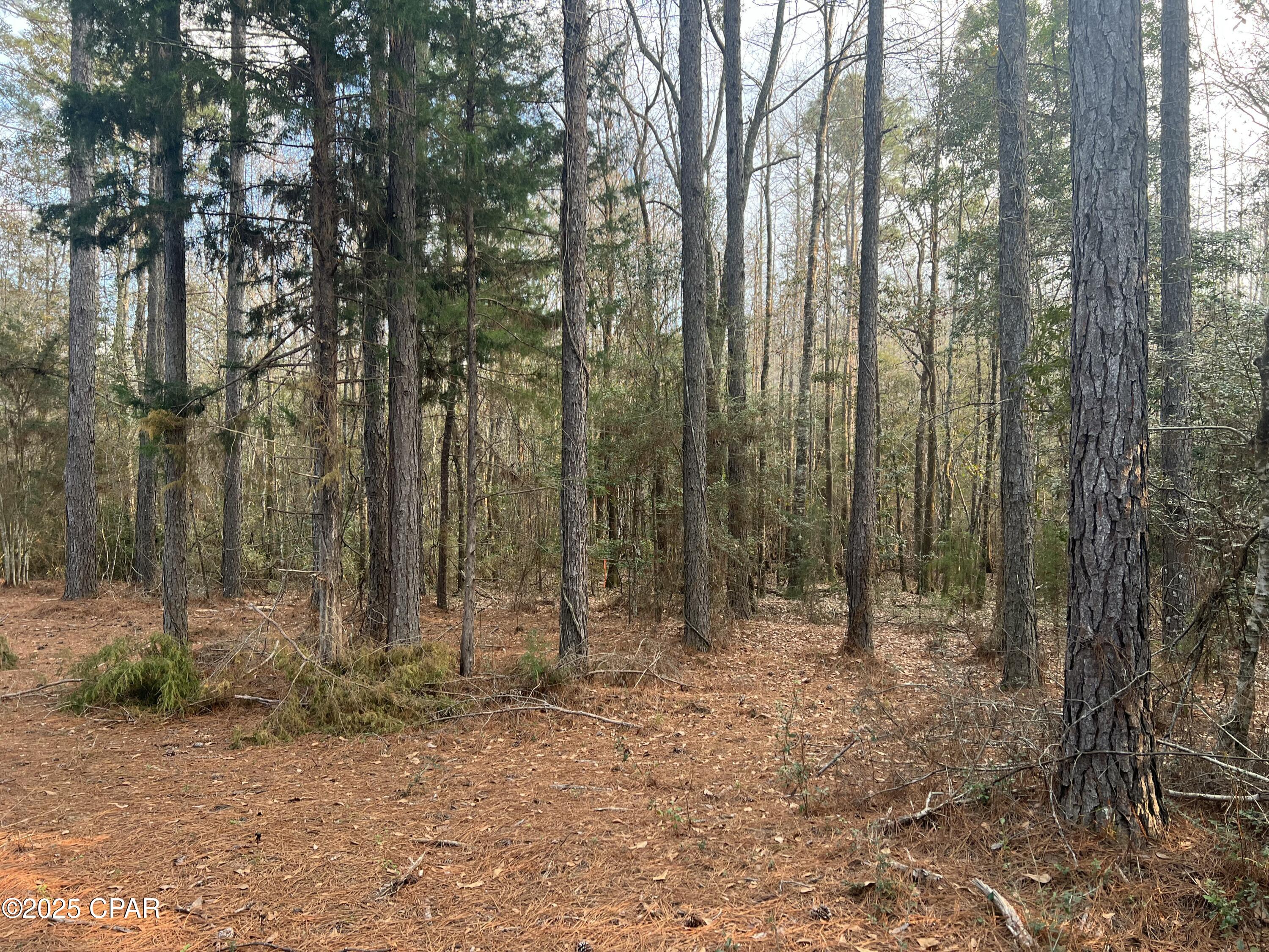 Image 15 For Tbd White Oak Lane