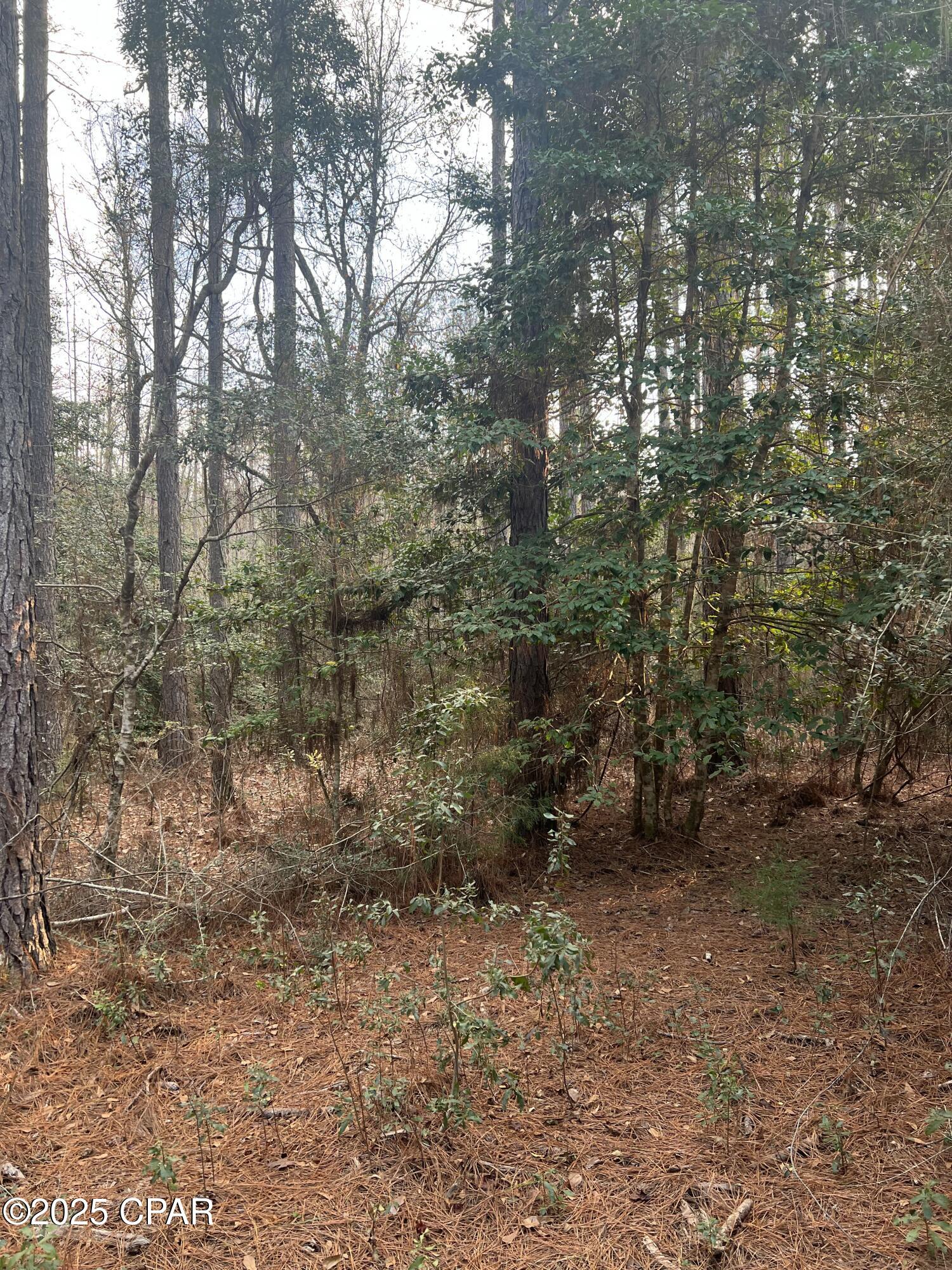 Image 16 For Tbd White Oak Lane