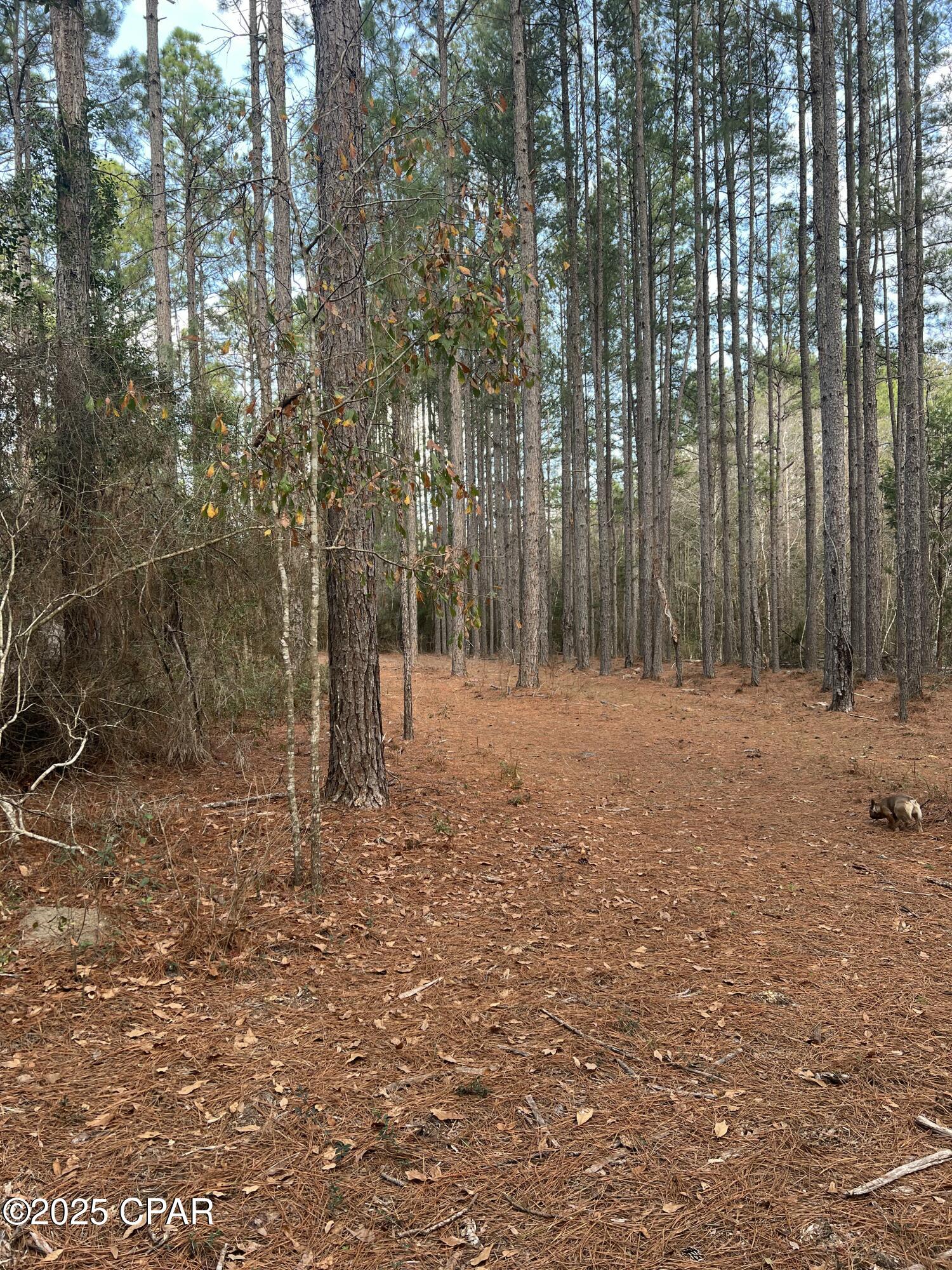 Image 20 For Tbd White Oak Lane