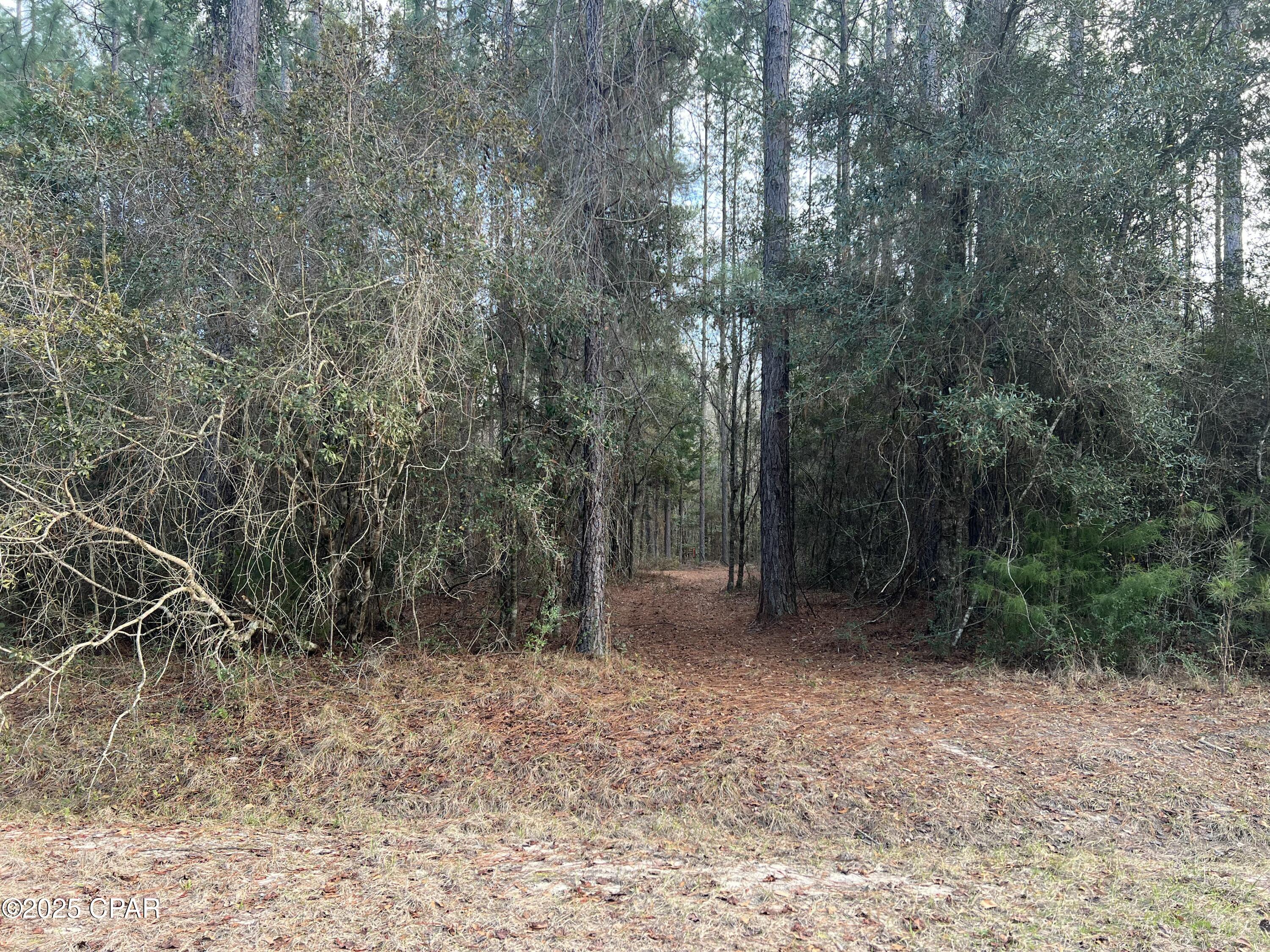 Image 24 For Tbd White Oak Lane