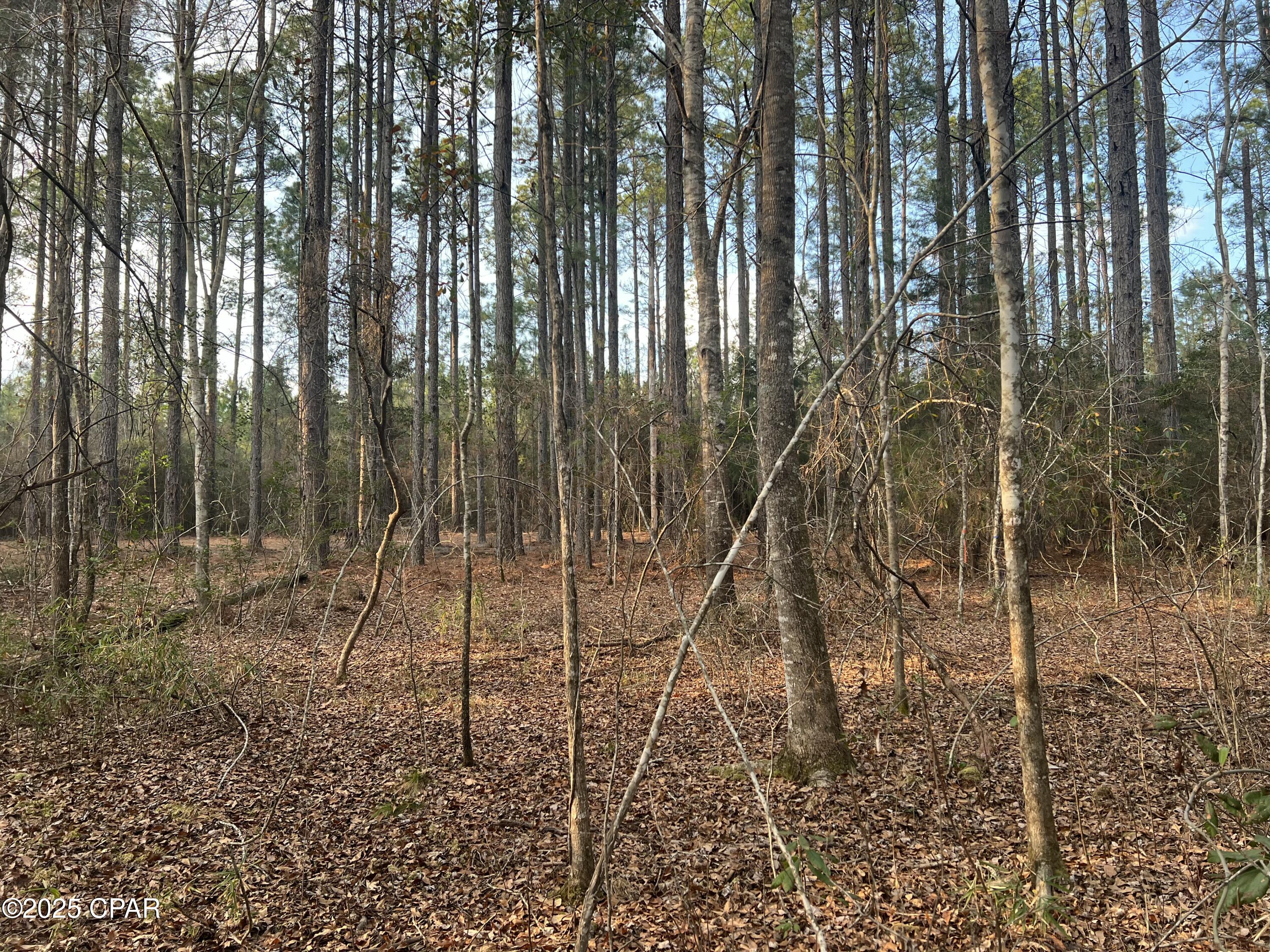Image 4 For Tbd White Oak Lane