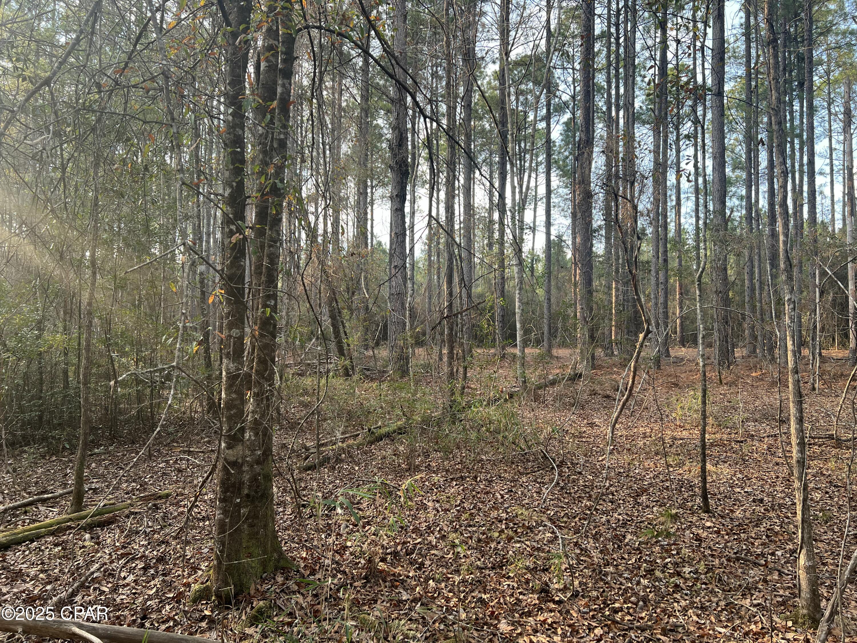 Image 5 For Tbd White Oak Lane
