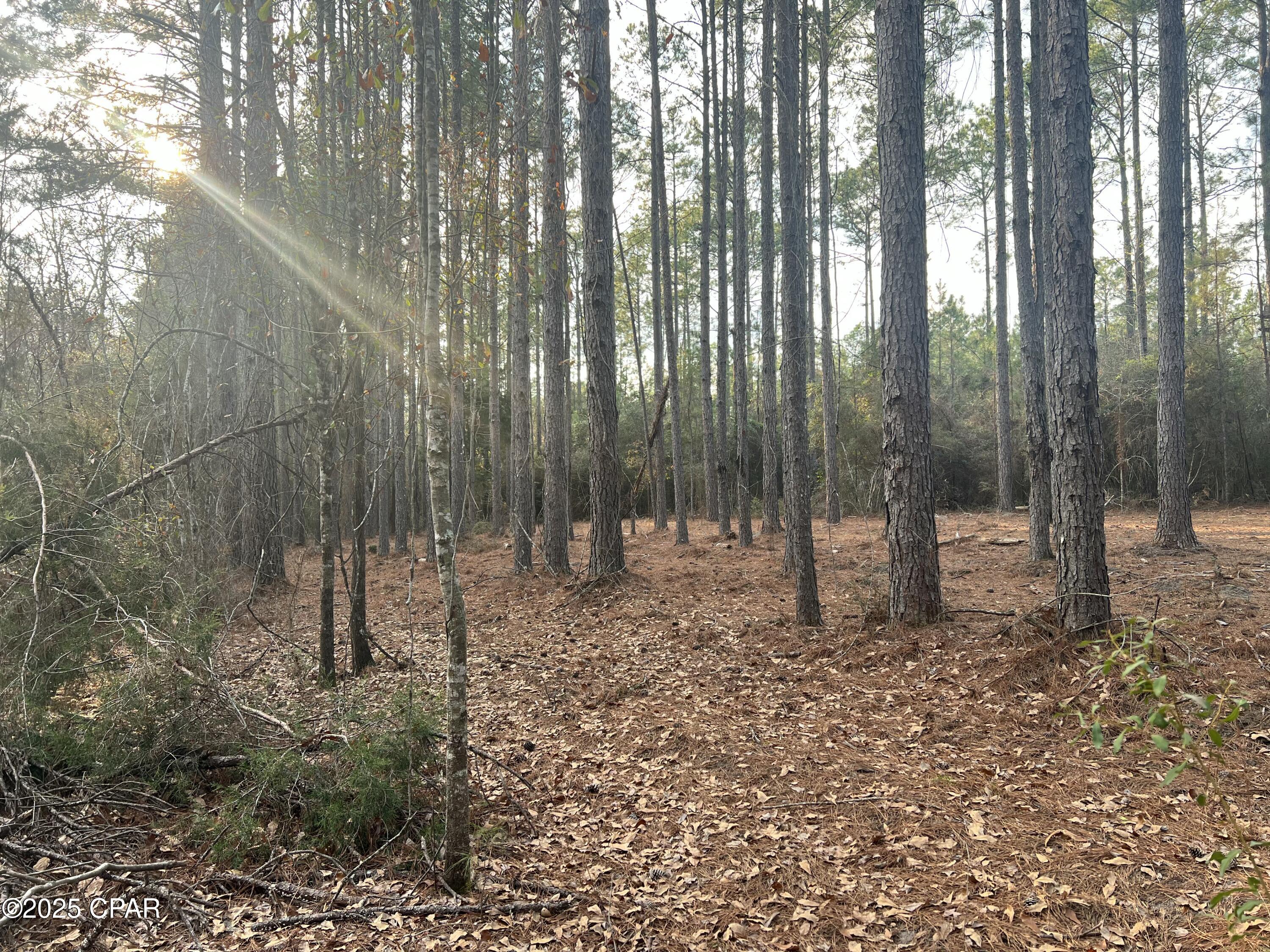 Image 8 For Tbd White Oak Lane