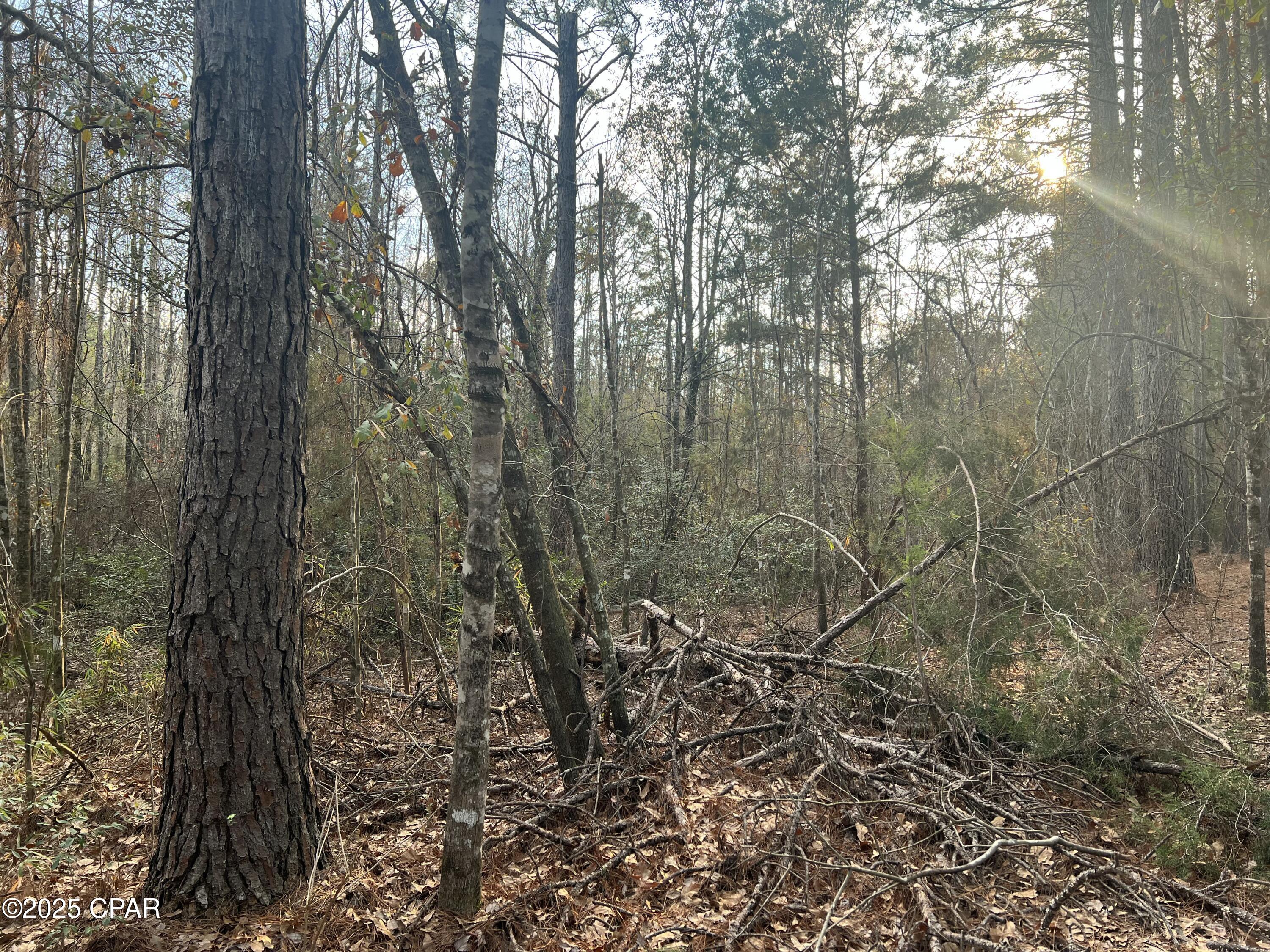 Image 9 For Tbd White Oak Lane