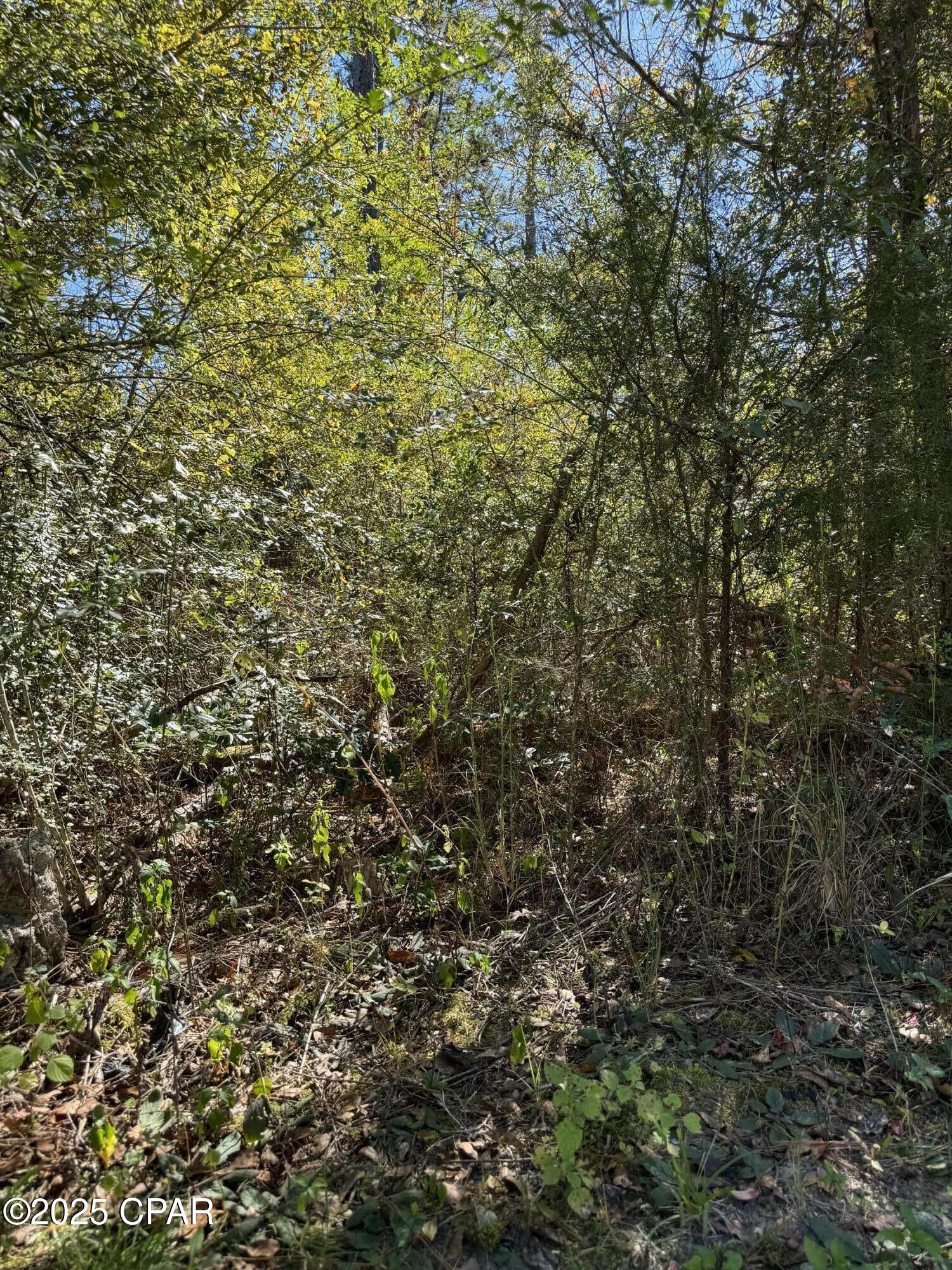 Image 4 For 000 Maridale Road