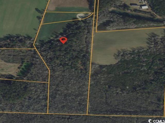 160 Joey Lane Conway, SC 29526