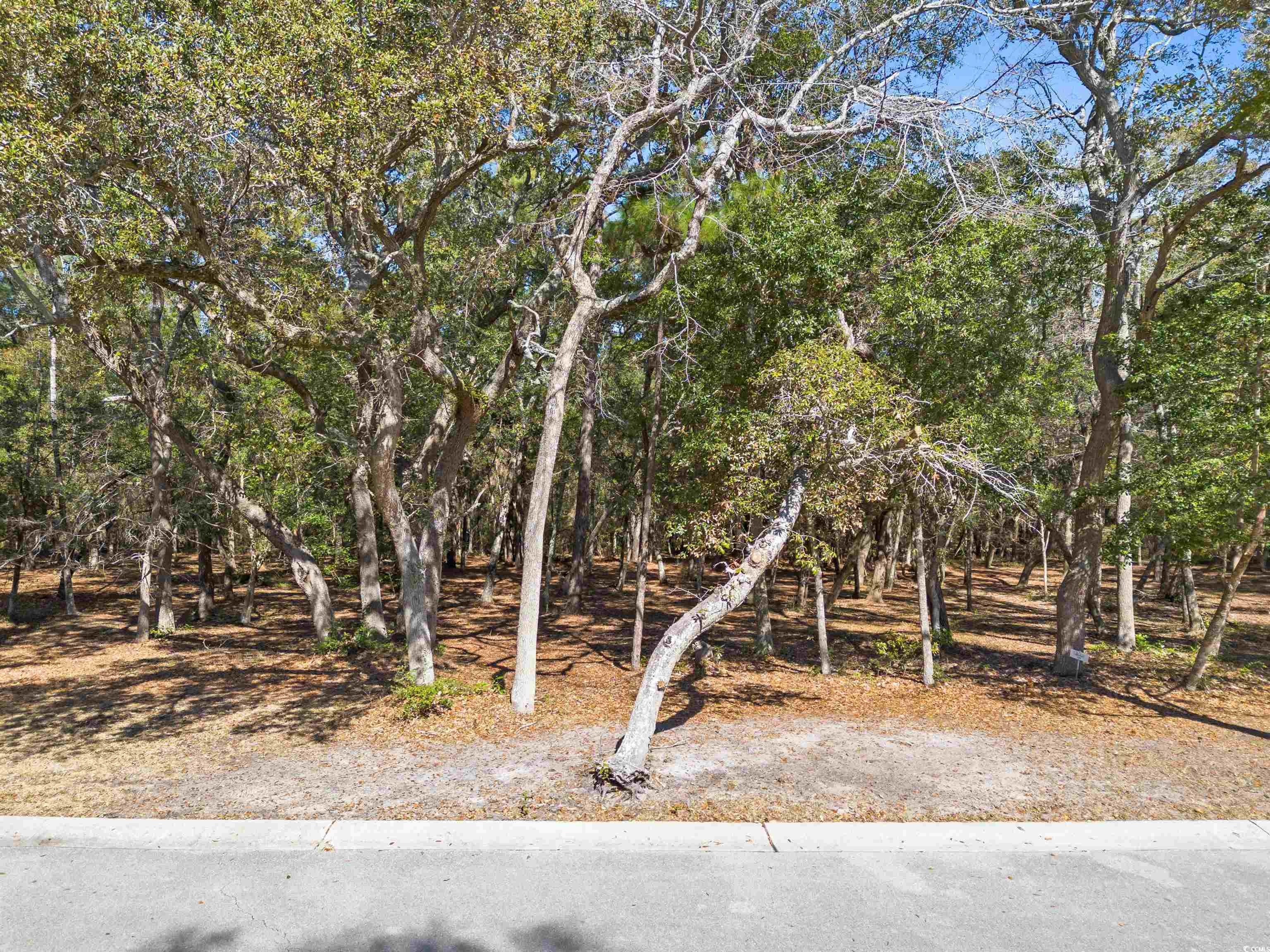 736 Beaufain St. Supply, NC 28462