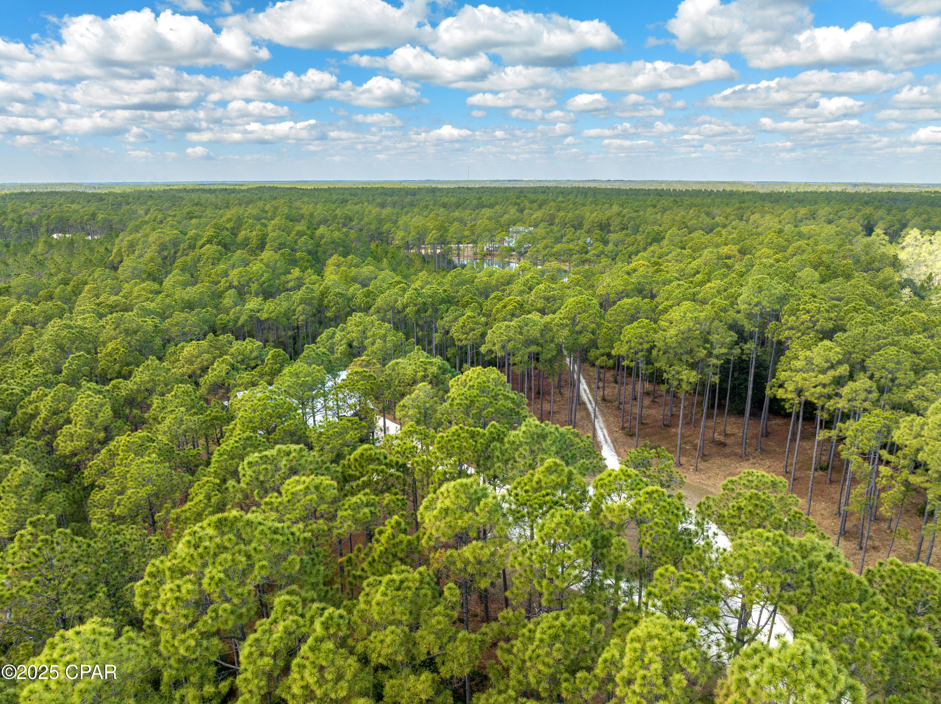 Image 11 For 6510 Sundew Marsh Trail Lot 61