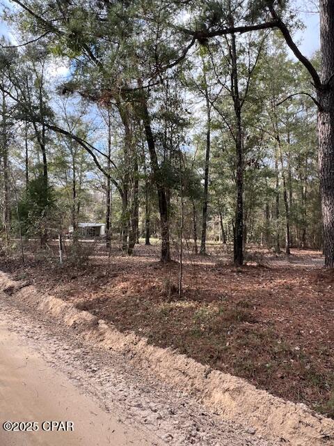 5270 Choctaw Road, Vernon, Florida image 25