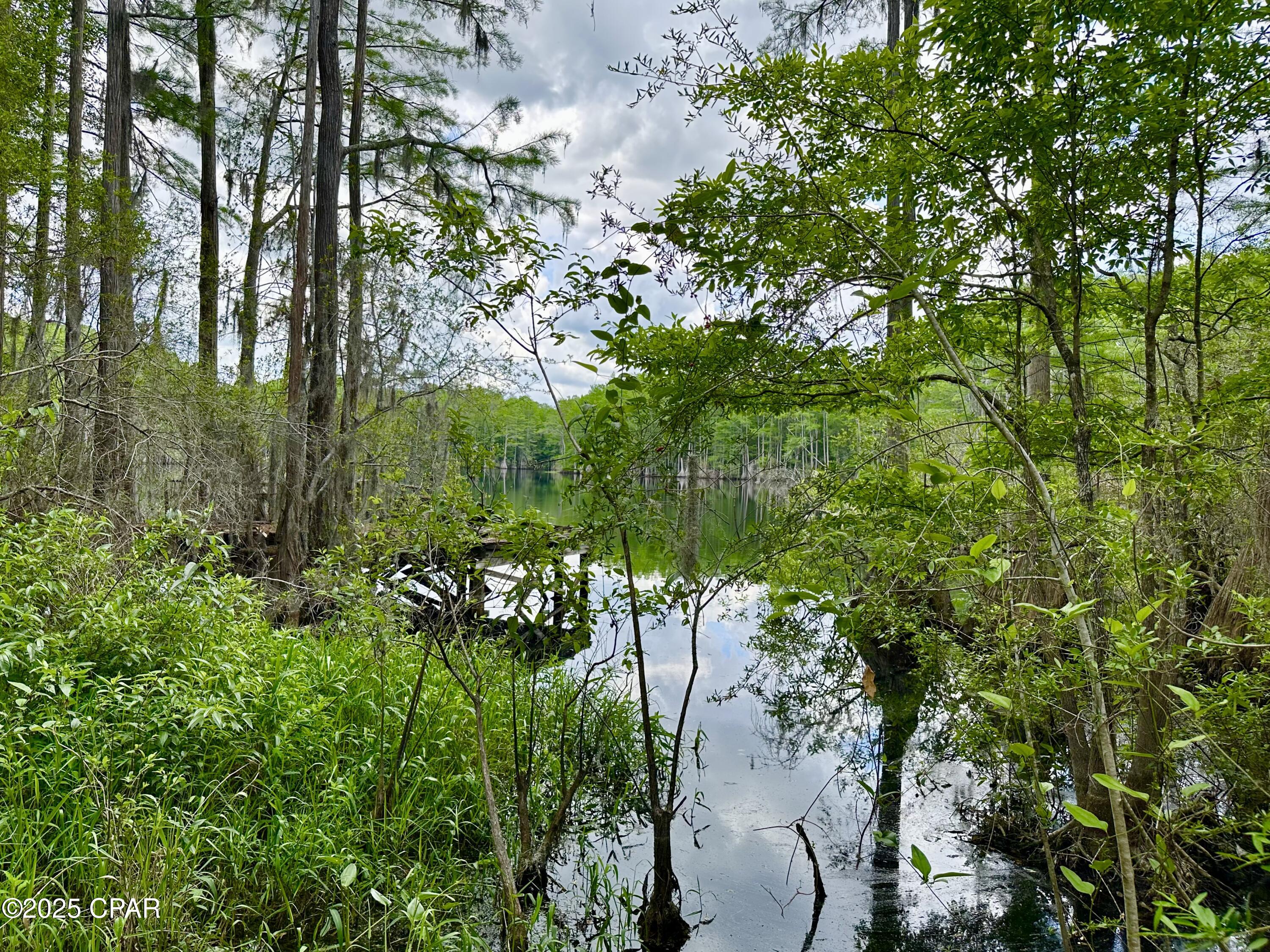 Details for 4661 Moss Hill Road, Chipley, FL 32428