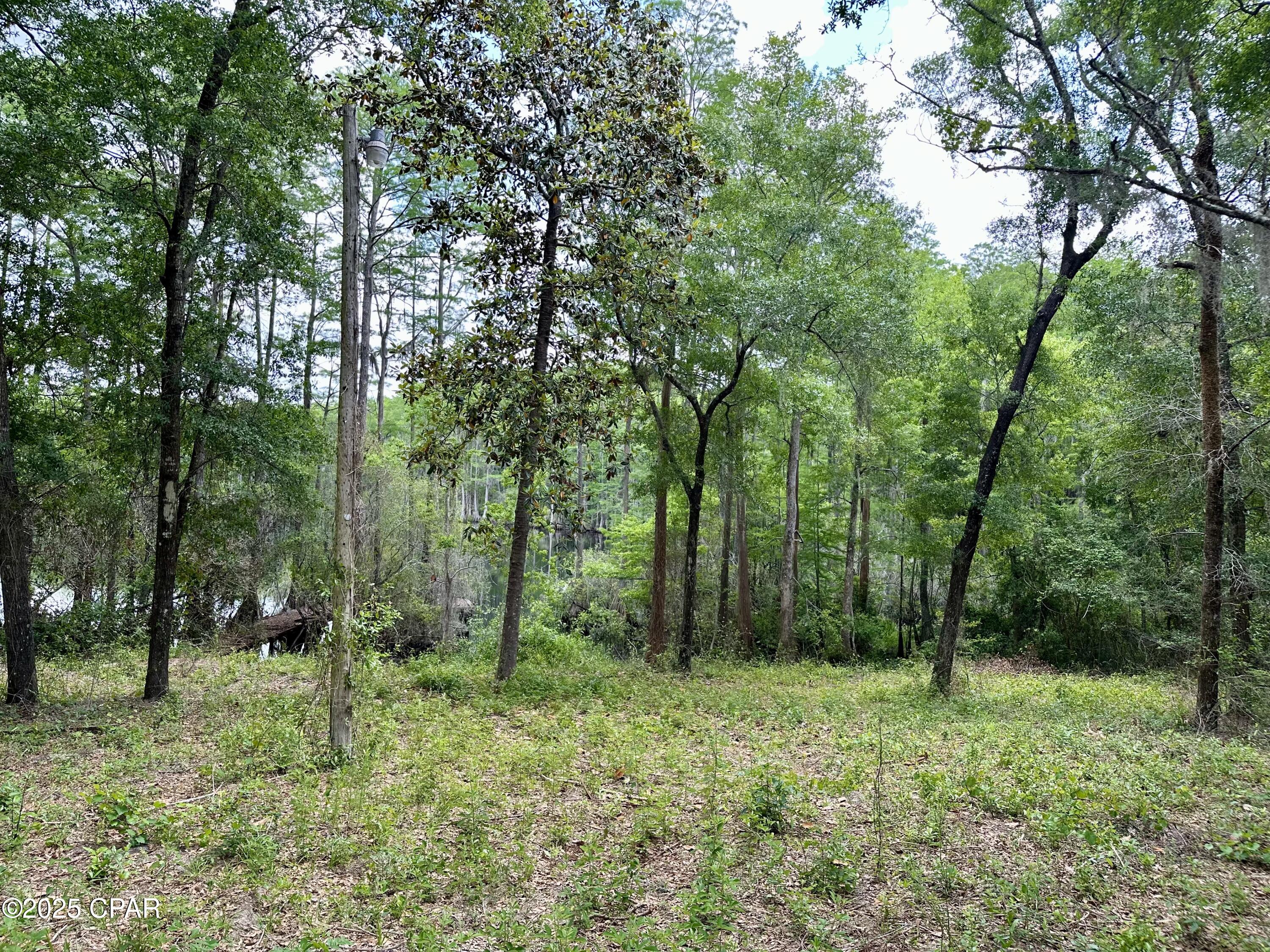 Image 31 For 4661 Moss Hill Road