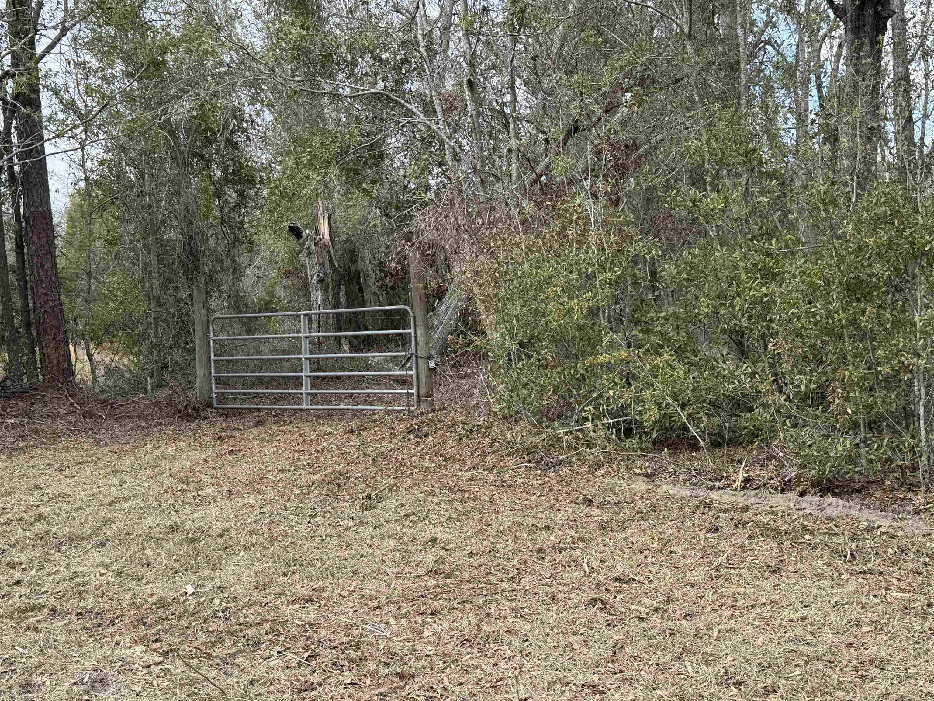 11331 E Us Highway 90, Lee, Florida image 2