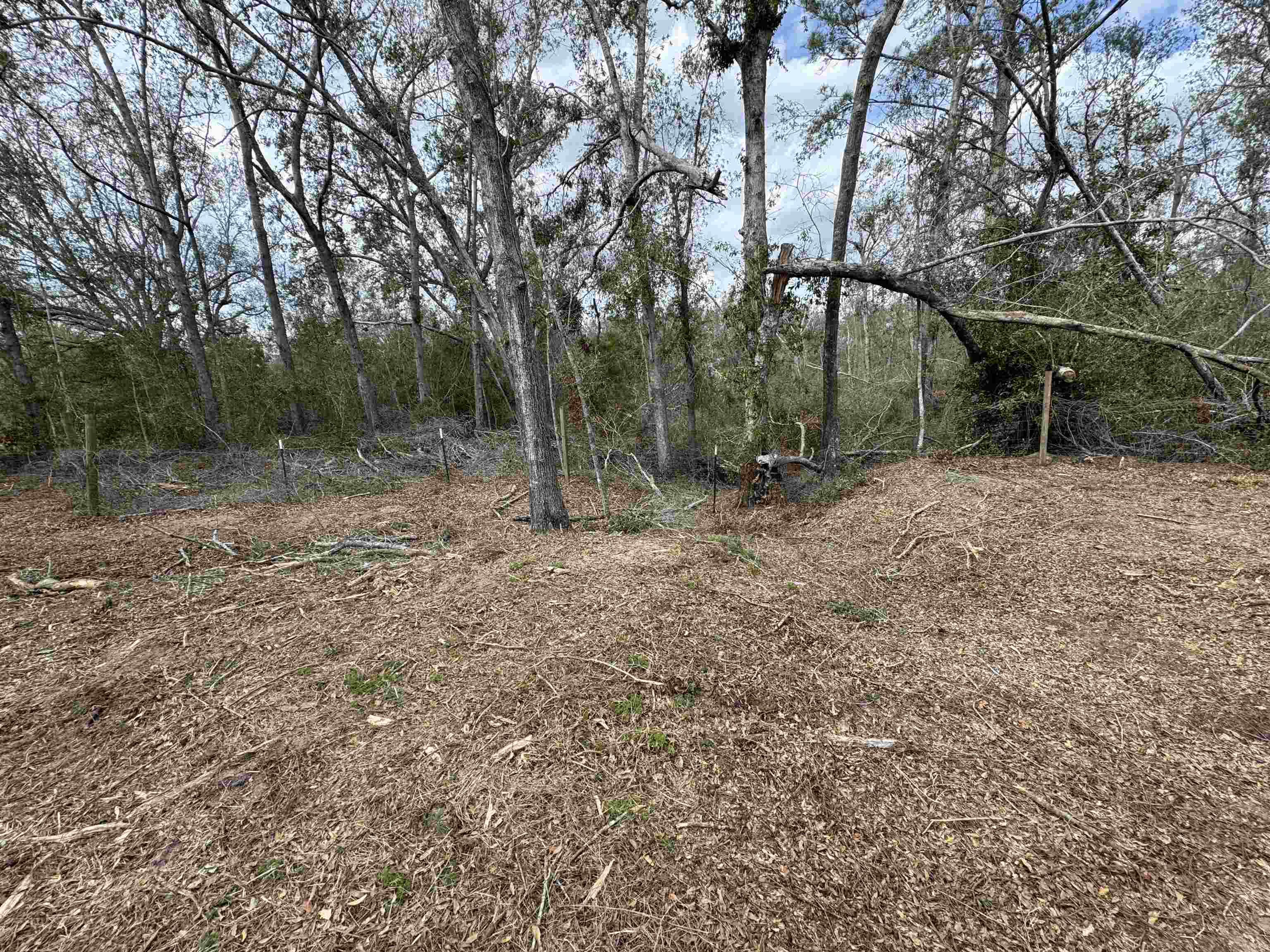 11331 E Us Highway 90, Lee, Florida image 4