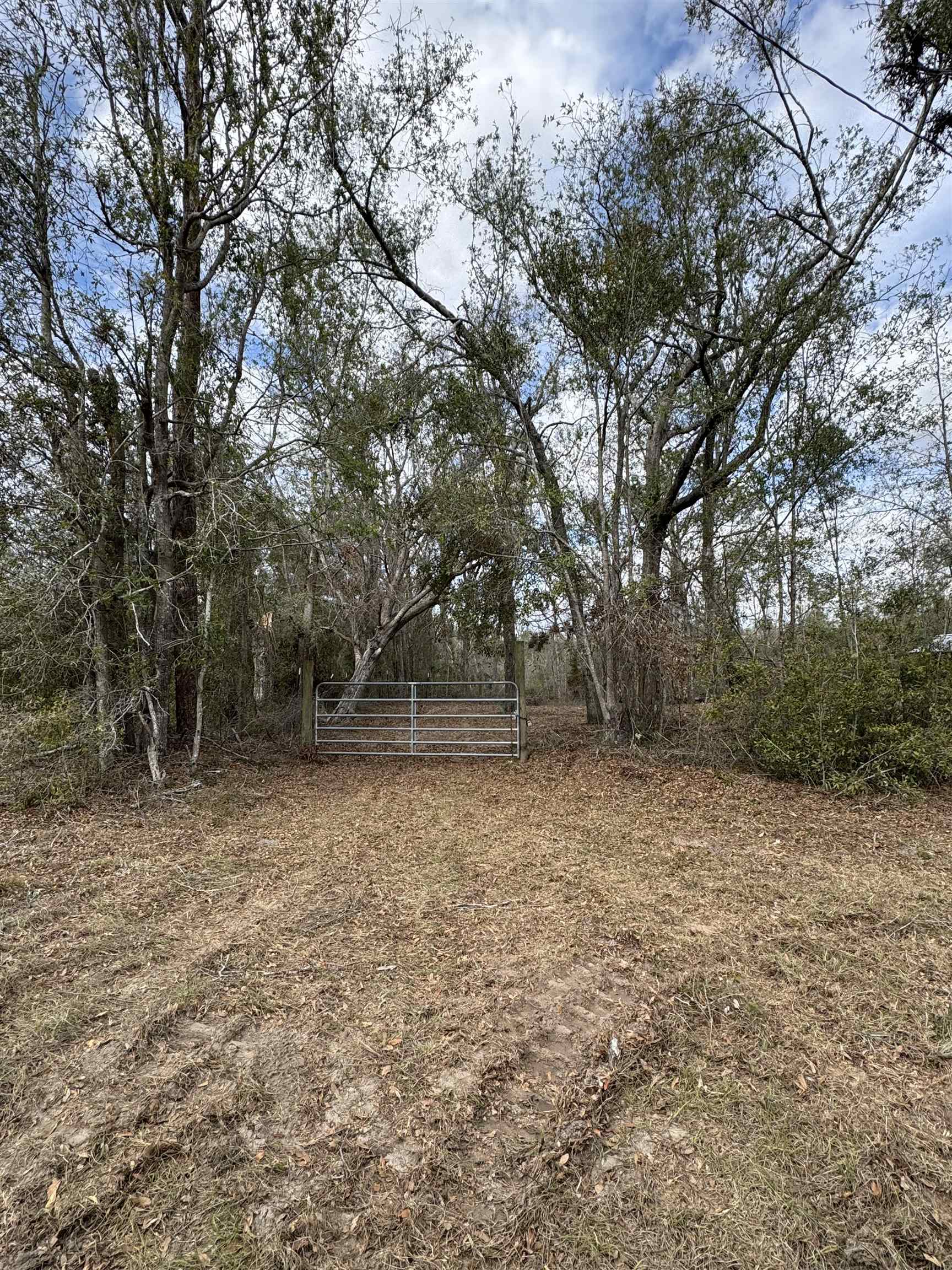 11331 E Us Highway 90, Lee, Florida image 9