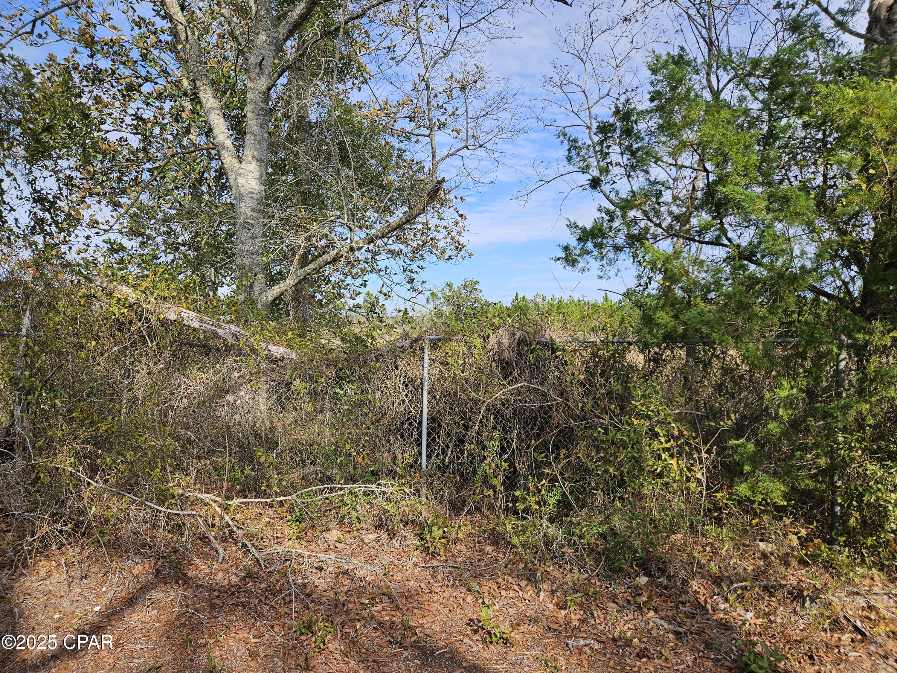Image 31 For 9430 Highway 79