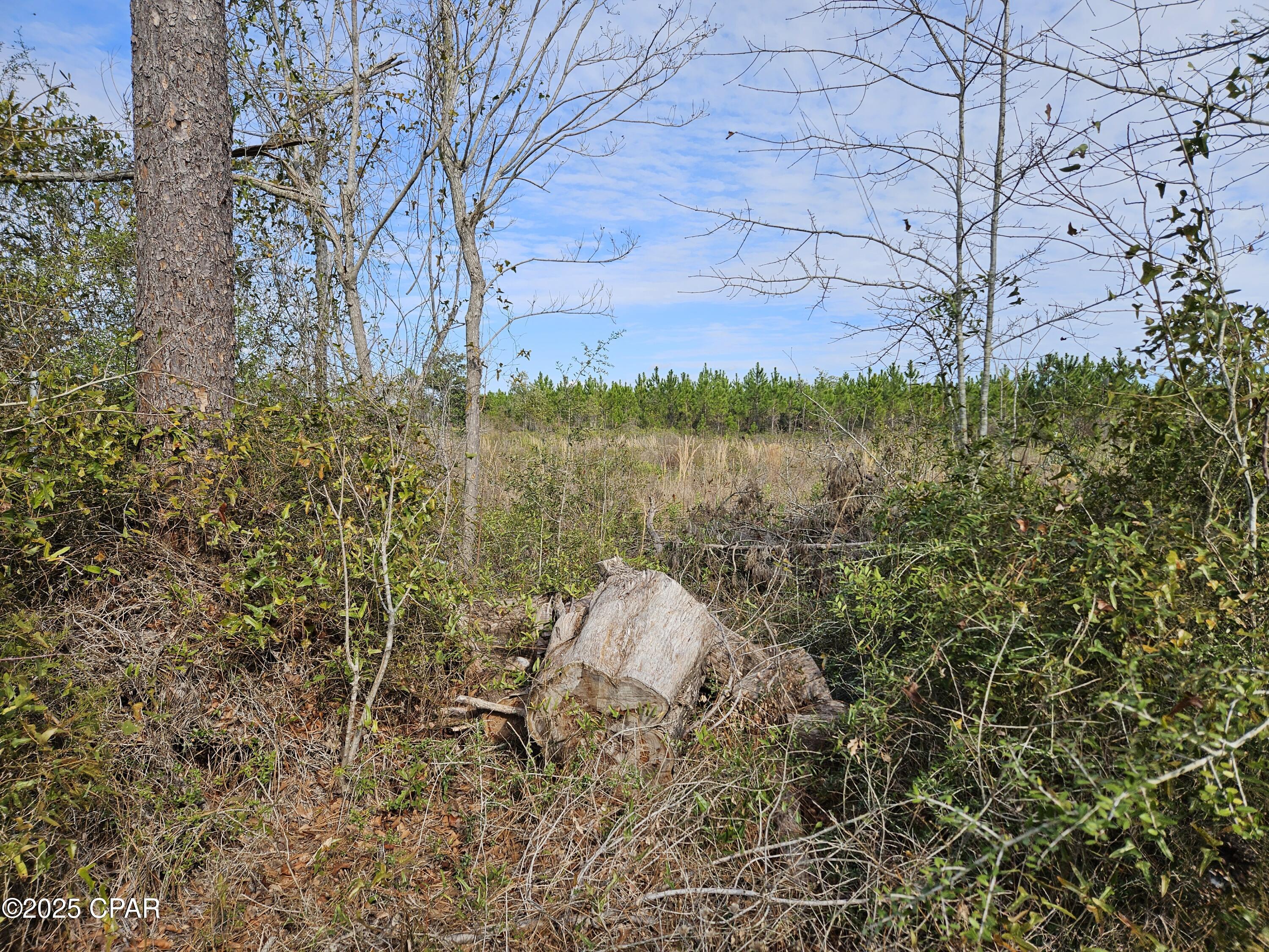 Image 32 For 9430 Highway 79
