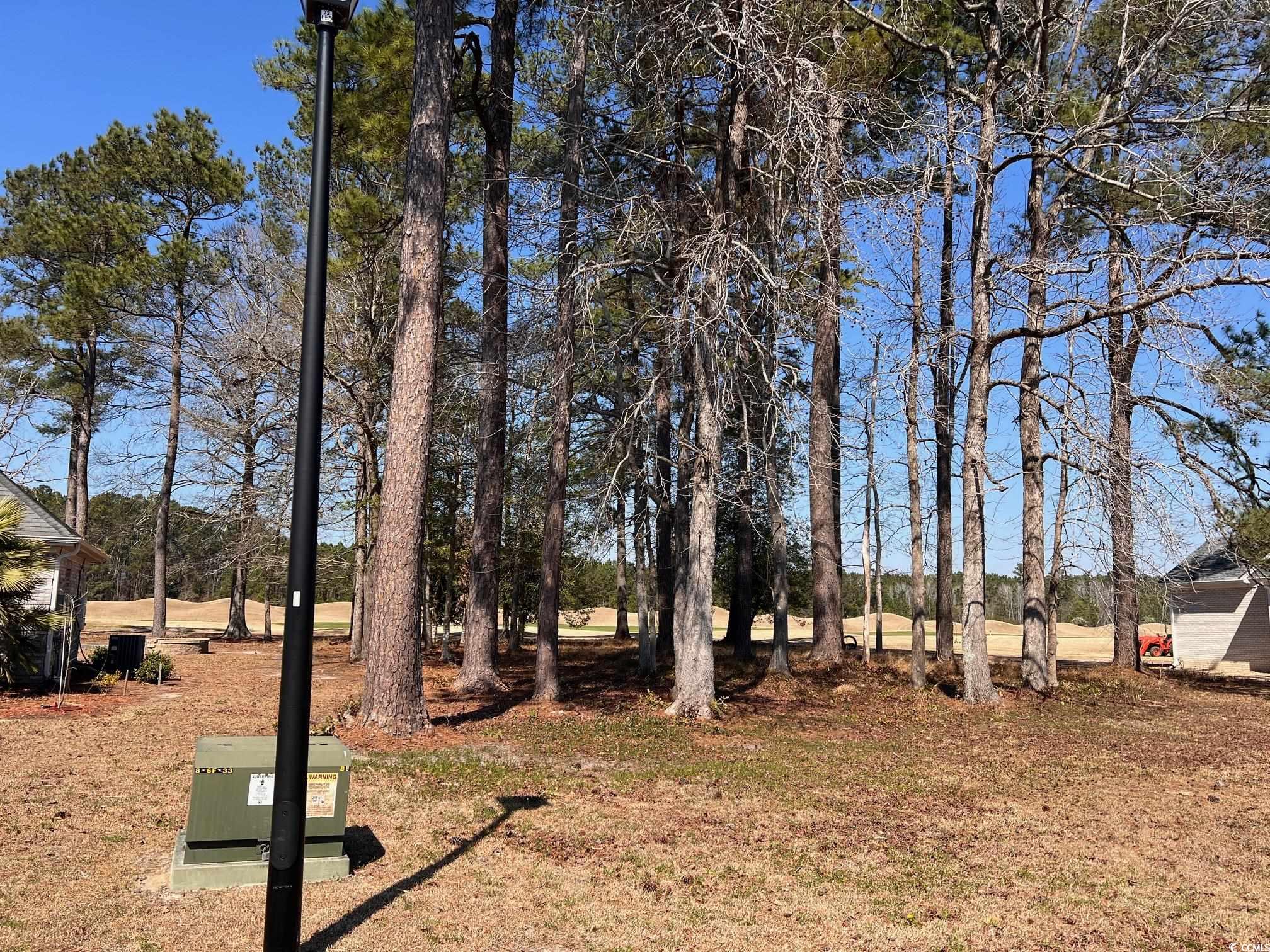 104 Long Bay Golf Pl.