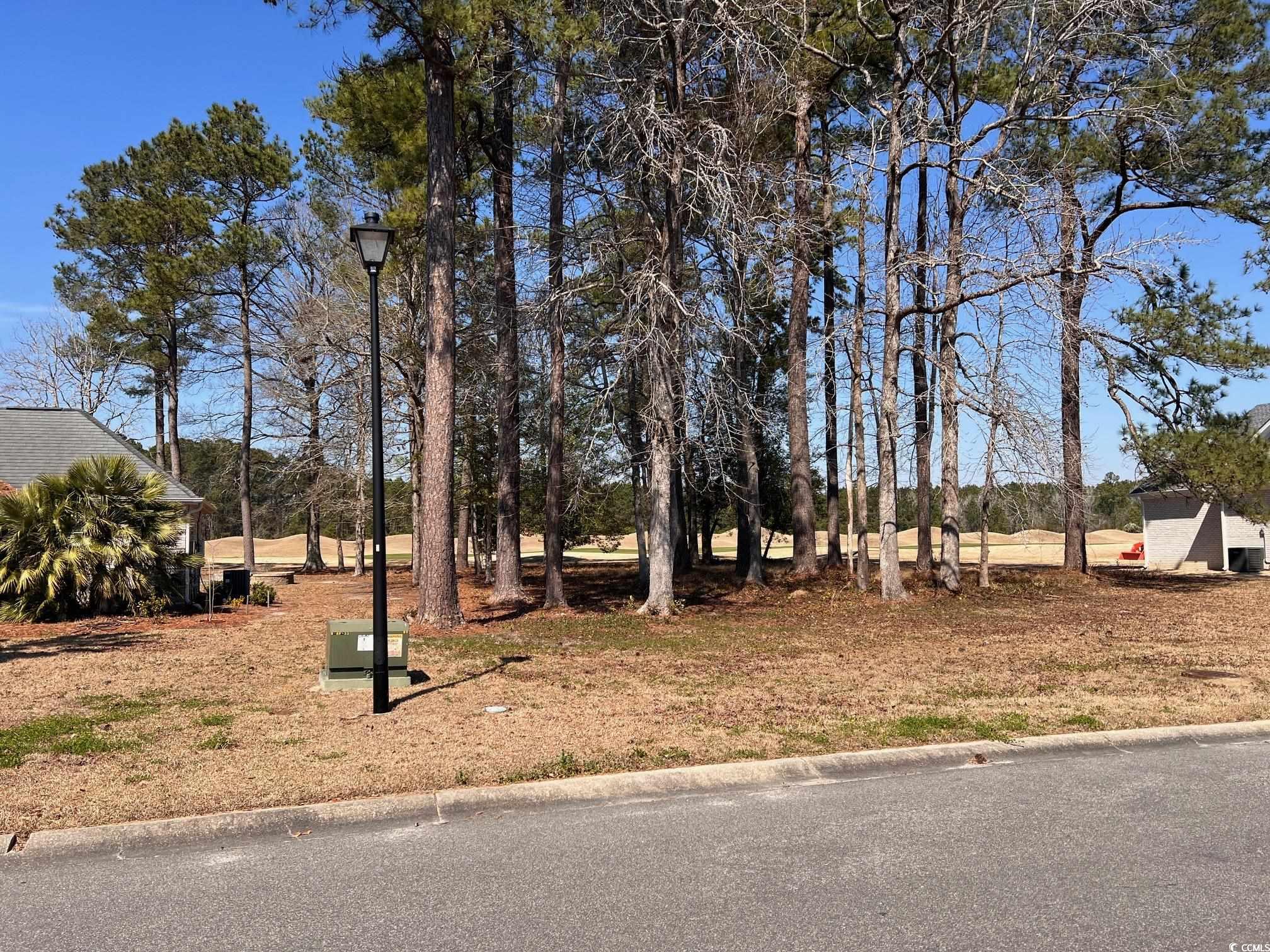 104 Long Bay Golf Pl.