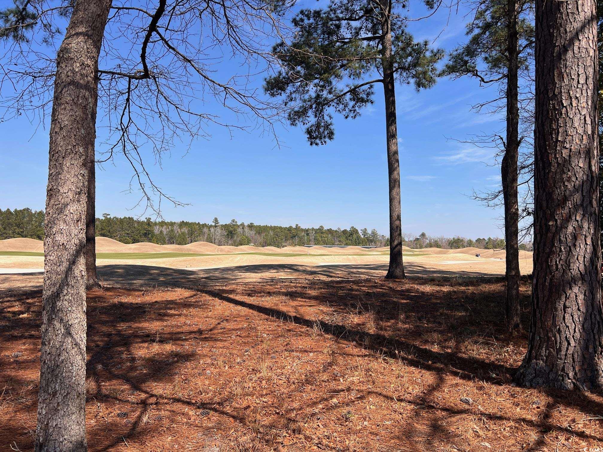 104 Long Bay Golf Pl.