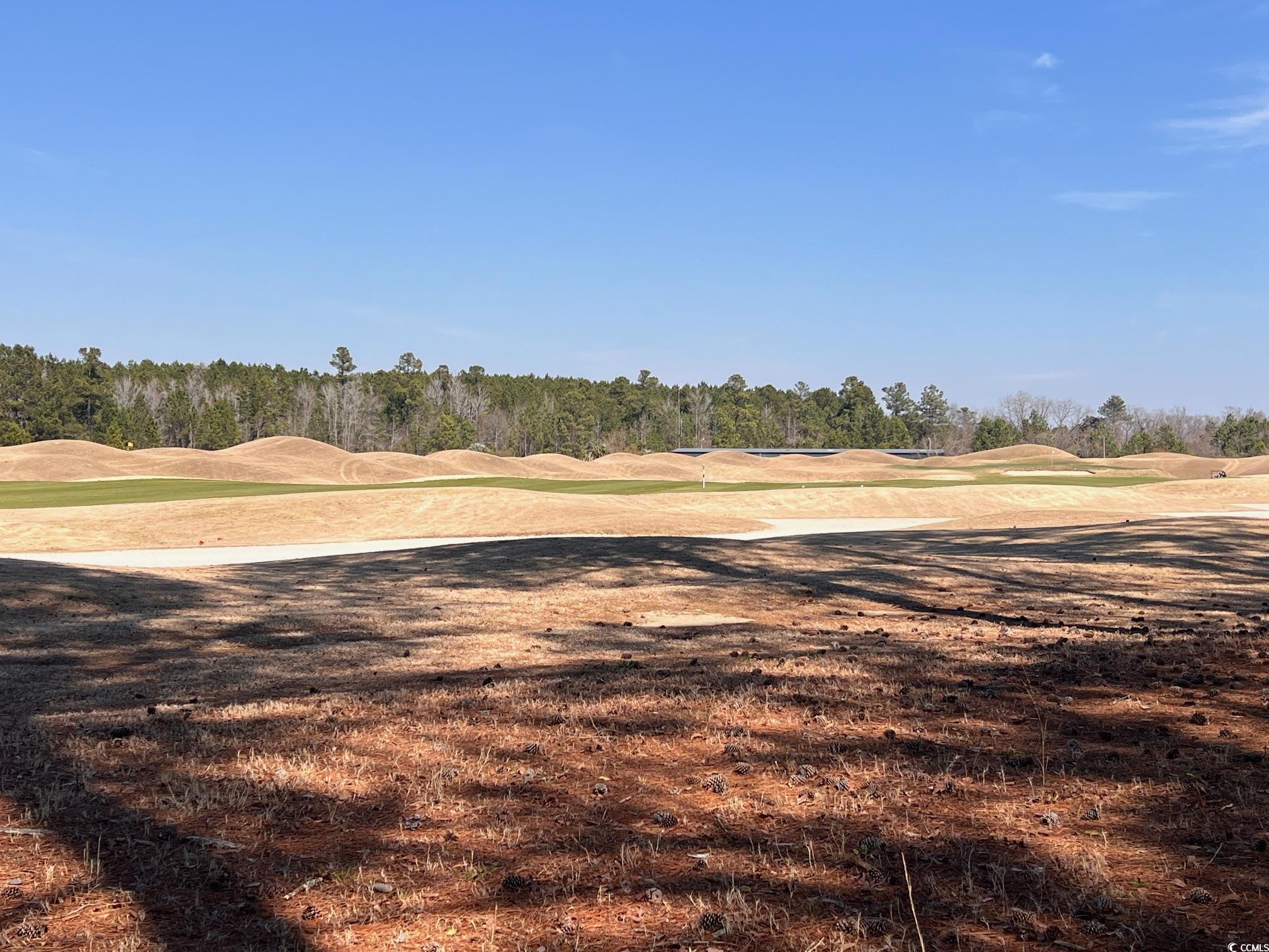 104 Long Bay Golf Pl.