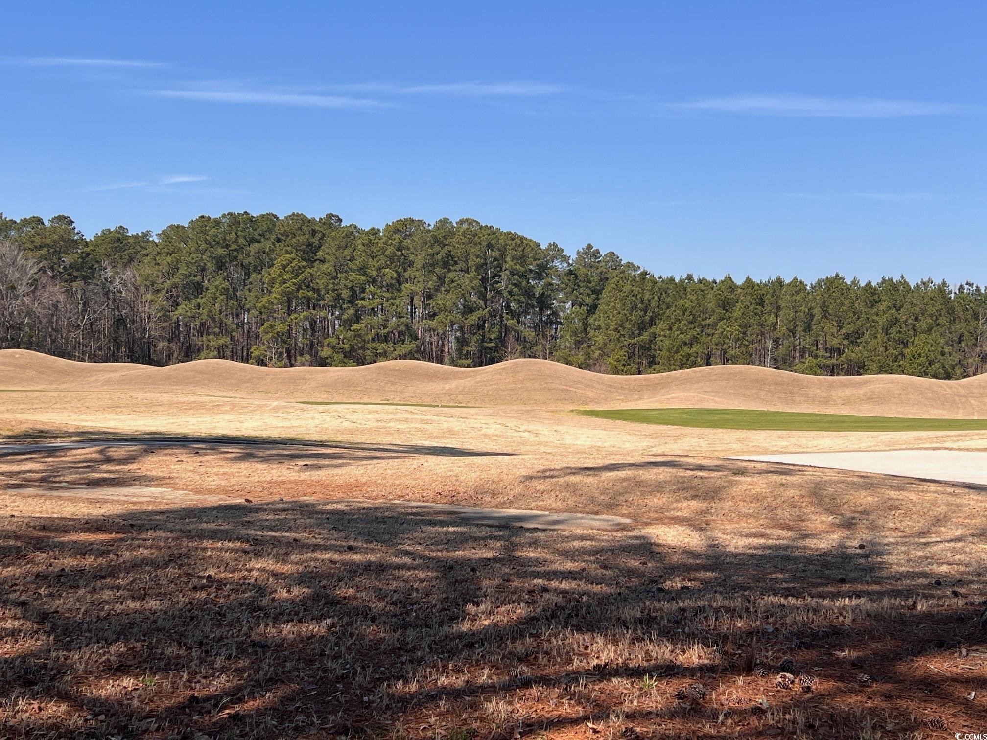 104 Long Bay Golf Pl.