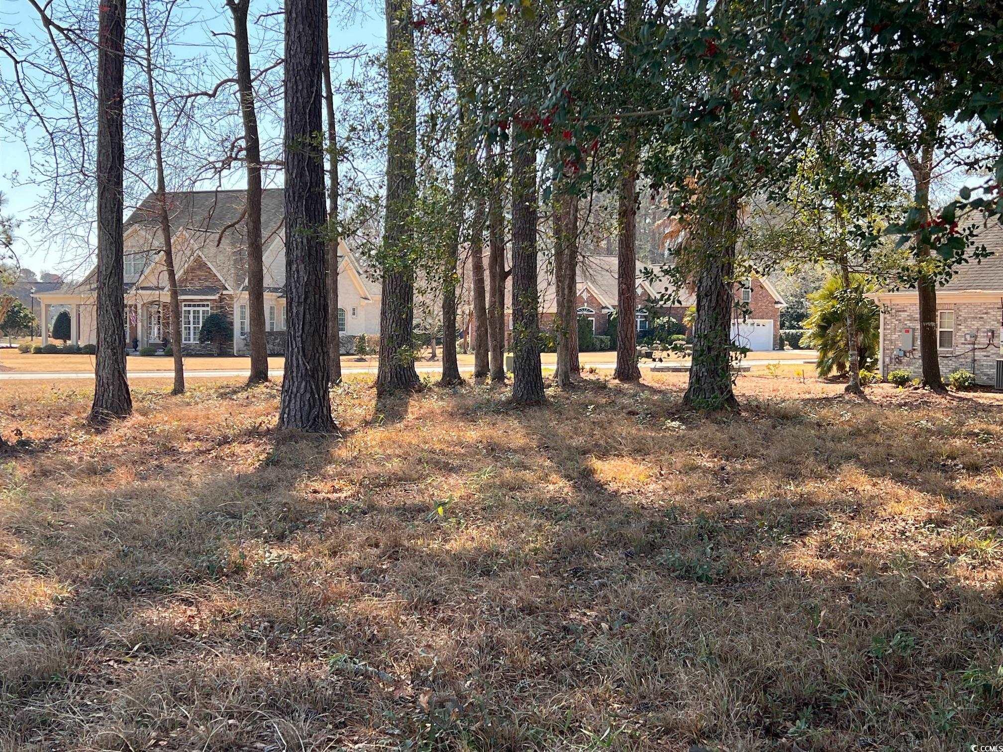 104 Long Bay Golf Pl.