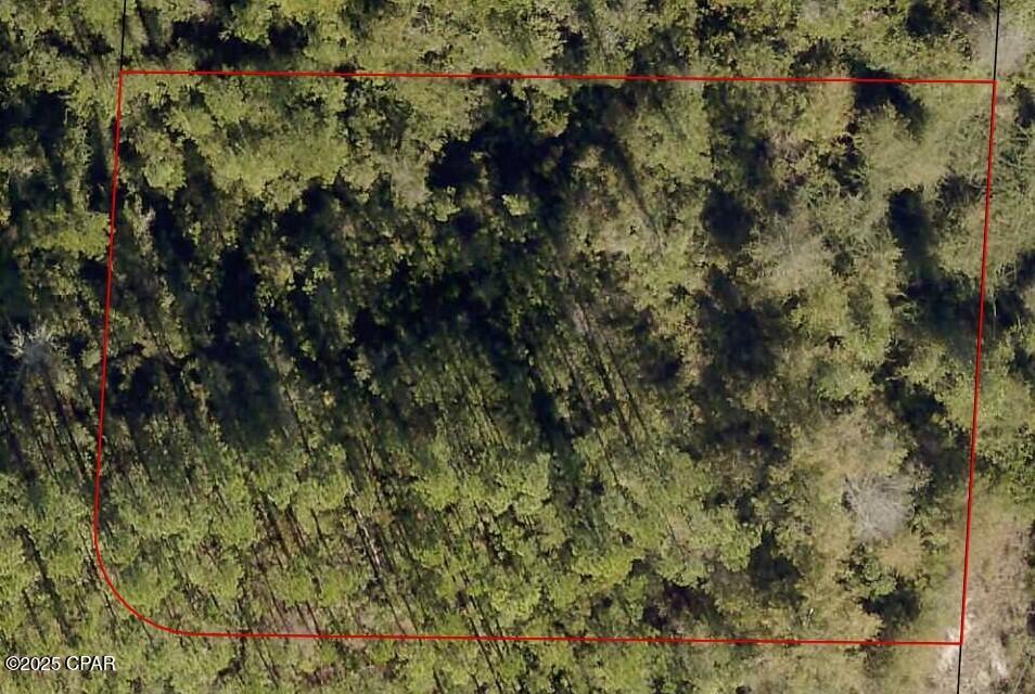 Image 2 For 12125 Pineridge Road