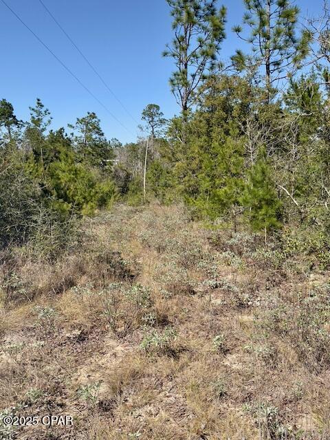 Image 10 For 3139 Tumble Creek Boulevard