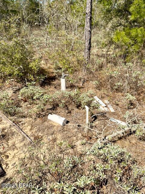Image 8 For 3139 Tumble Creek Boulevard