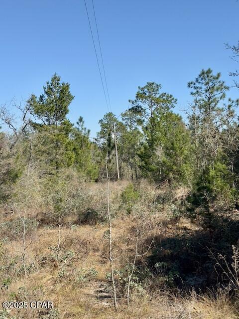 Image 9 For 3139 Tumble Creek Boulevard