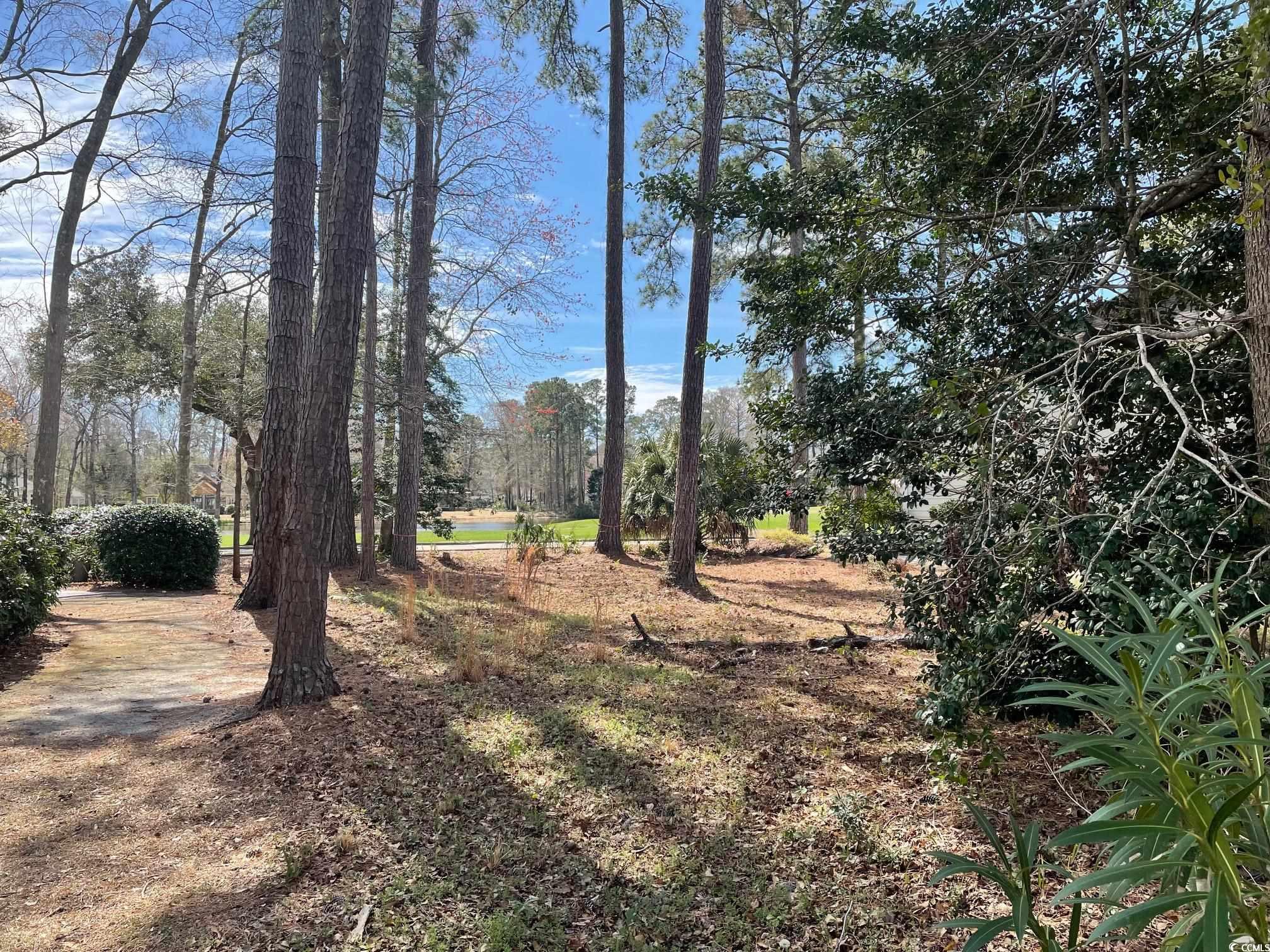 Homes for sale in Pawleys Island, SC | 138 Turtle Creek Dr, Pawleys Island, SC 29585 | MLS# 2505926