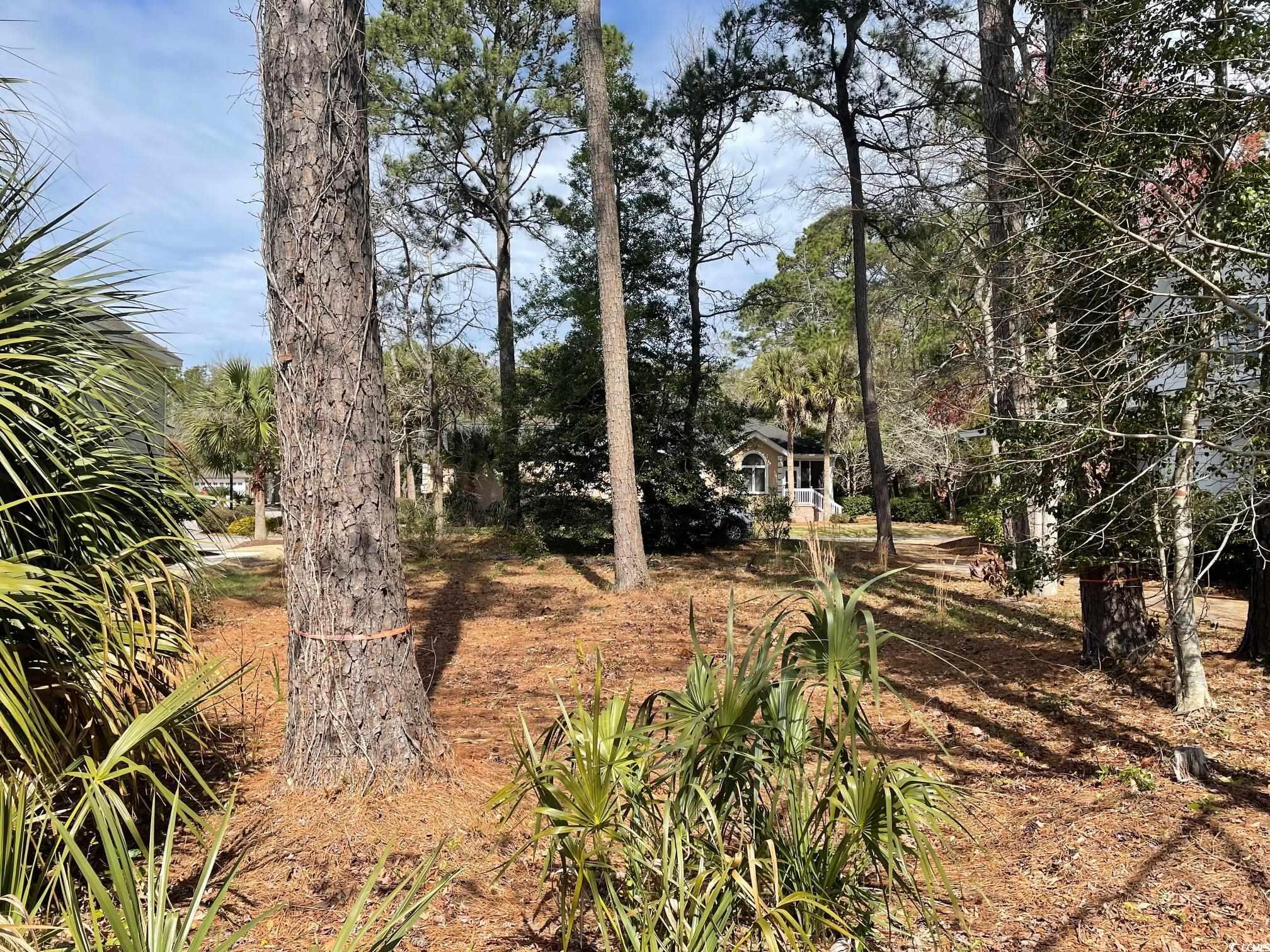 Homes for sale in Pawleys Island, SC | 138 Turtle Creek Dr, Pawleys Island, SC 29585 | MLS# 2505926