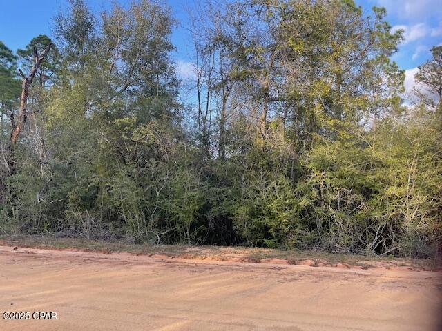 Image 3 For Lot 38 Dorcas Road