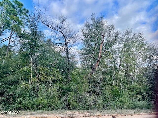 Image 5 For Lot 38 Dorcas Road