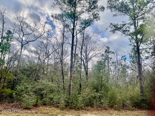 Image 1 For Lot 9 Red Road