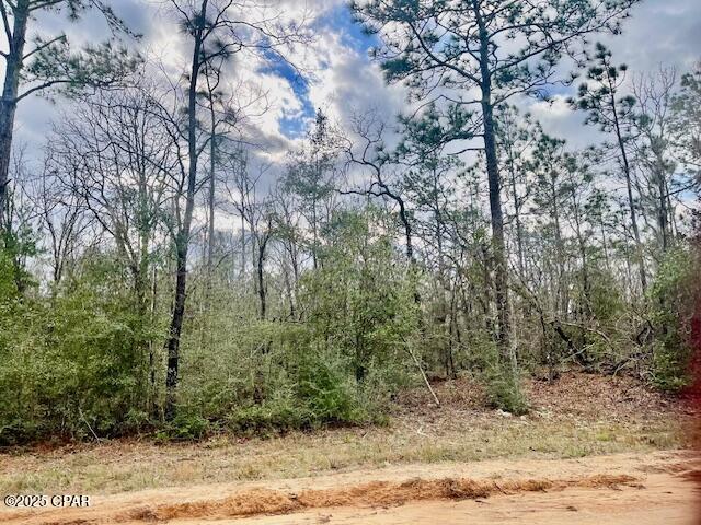 Image 2 For Lot 9 Red Road