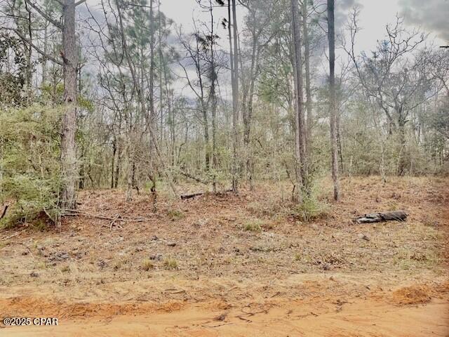 Image 6 For Lot 9 Red Road