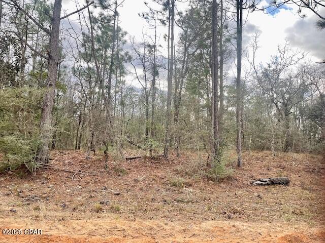Image 7 For Lot 9 Red Road